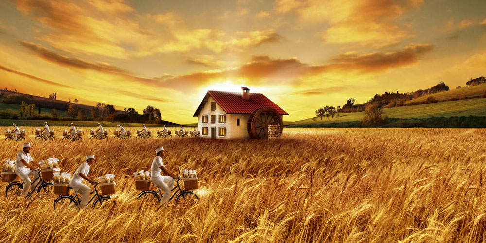 Mulino Bianco Cookies @ HEB&nbsp;PLUS